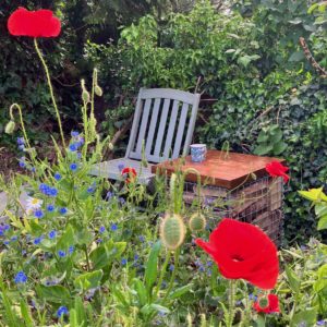 gabion table and poppies